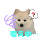 タロンくん。No.2（個別スタンプ：1）
