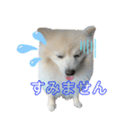 タロンくん。No.2（個別スタンプ：3）