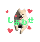 タロンくん。No.2（個別スタンプ：4）