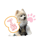 タロンくん。No.2（個別スタンプ：5）