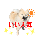 タロンくん。No.2（個別スタンプ：7）