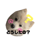 タロンくん。No.2（個別スタンプ：9）