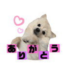 タロンくん。No.2（個別スタンプ：10）