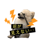タロンくん。No.2（個別スタンプ：12）