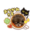おもちとおはぎご挨拶（個別スタンプ：2）