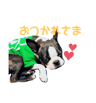 ガブリエルのスタンプ（個別スタンプ：5）