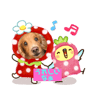らっぴー1（個別スタンプ：6）
