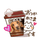 らっぴー1（個別スタンプ：7）