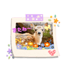 可愛い♡子鹿（個別スタンプ：4）