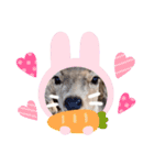 可愛い♡子鹿（個別スタンプ：7）