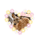 可愛い♡子鹿（個別スタンプ：12）