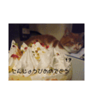 愛猫の生態（個別スタンプ：4）