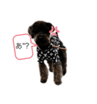 かわいい中西リッキー君（個別スタンプ：3）