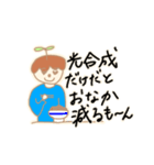 なつかしの双子葉類くん（個別スタンプ：3）