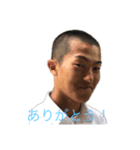 タドタドスタンプ（個別スタンプ：4）