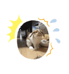 うさぎのゆずっこ（個別スタンプ：2）