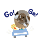 うさぎのゆずっこ（個別スタンプ：5）