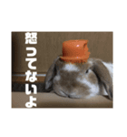 うさぎのゆずっこ（個別スタンプ：6）