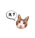 わたしメイ（個別スタンプ：1）