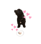 うちの可愛いゆめちゃんです（個別スタンプ：8）
