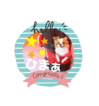 かわゆいわんちゃん（個別スタンプ：3）