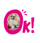 かわゆいわんちゃん（個別スタンプ：4）