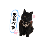 らびゅん（個別スタンプ：5）