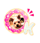 ワンワンミックス（個別スタンプ：2）