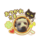 ワンワンミックス（個別スタンプ：3）