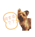 ワンワンミックス（個別スタンプ：6）