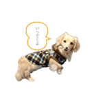 モカたんの日常スタンプ（個別スタンプ：10）