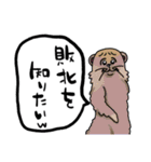めっちゃあおるやん！（個別スタンプ：13）
