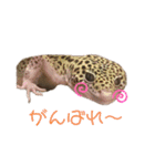 みなづき日常❷（個別スタンプ：9）