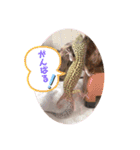 みなづき日常❷（個別スタンプ：13）