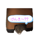 みなづき日常❷（個別スタンプ：15）