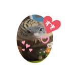 みなづき日常❷（個別スタンプ：17）