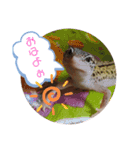 みなづき日常❷（個別スタンプ：18）