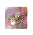 みなづき日常❷（個別スタンプ：21）