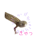 みなづき日常❷（個別スタンプ：24）