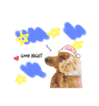merci，cocoa（個別スタンプ：1）