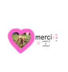 merci，cocoa（個別スタンプ：5）