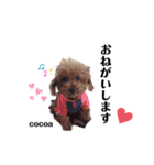 merci，cocoa（個別スタンプ：13）