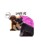 merci，cocoa（個別スタンプ：14）