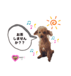 merci，cocoa（個別スタンプ：19）