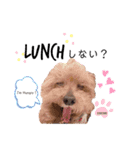 merci，cocoa（個別スタンプ：20）