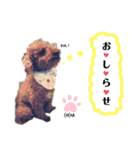 merci，cocoa（個別スタンプ：21）