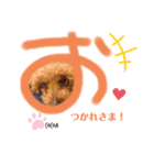 merci，cocoa（個別スタンプ：23）