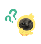 ゆうニャン（個別スタンプ：8）