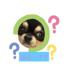 チョコ＆ミルク♡♡（個別スタンプ：5）