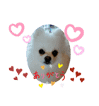 チョコ＆ミルク♡♡（個別スタンプ：12）